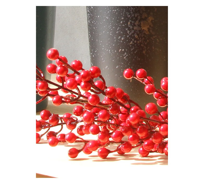 凉笙 高仿真发财果浆果干支红色干花发财果相思果落地长枝花干花仿真