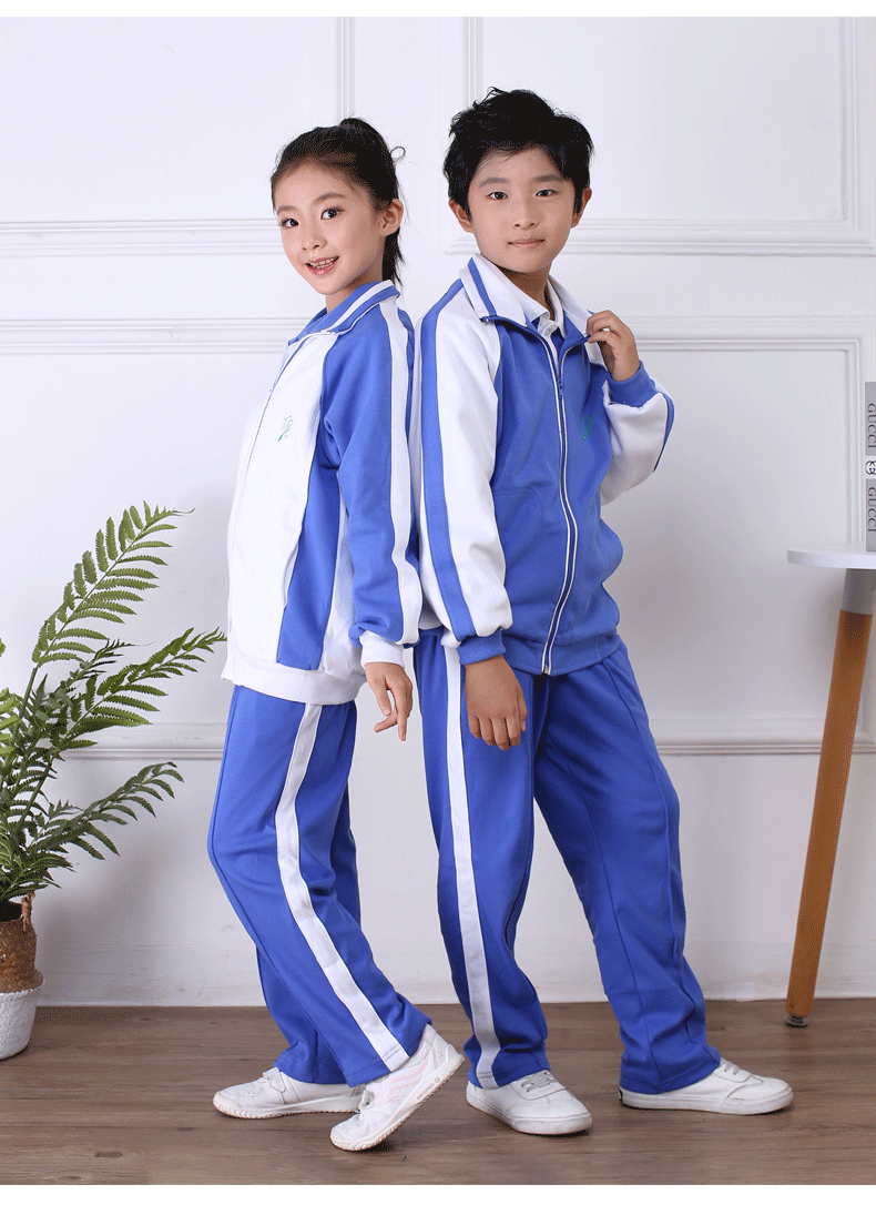 织蚕深圳校服小学生春秋装运动服套装男女统一校服短裤短袖速干薄款