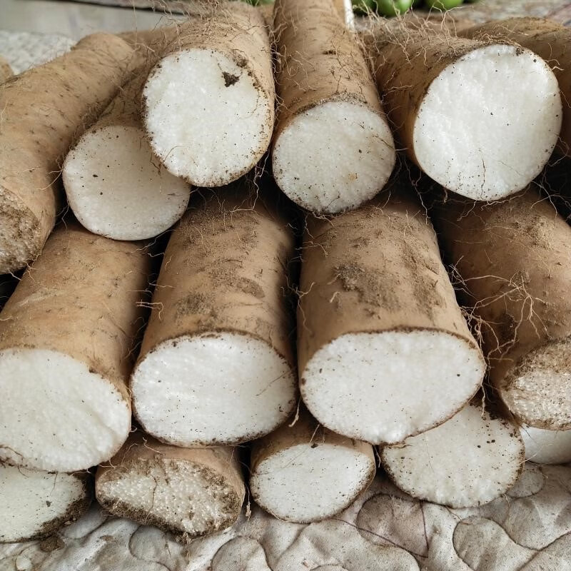 悠妃襄阳脆山药新鲜淮山药农家薄皮长脆条水山药粗大山药 4斤【图片