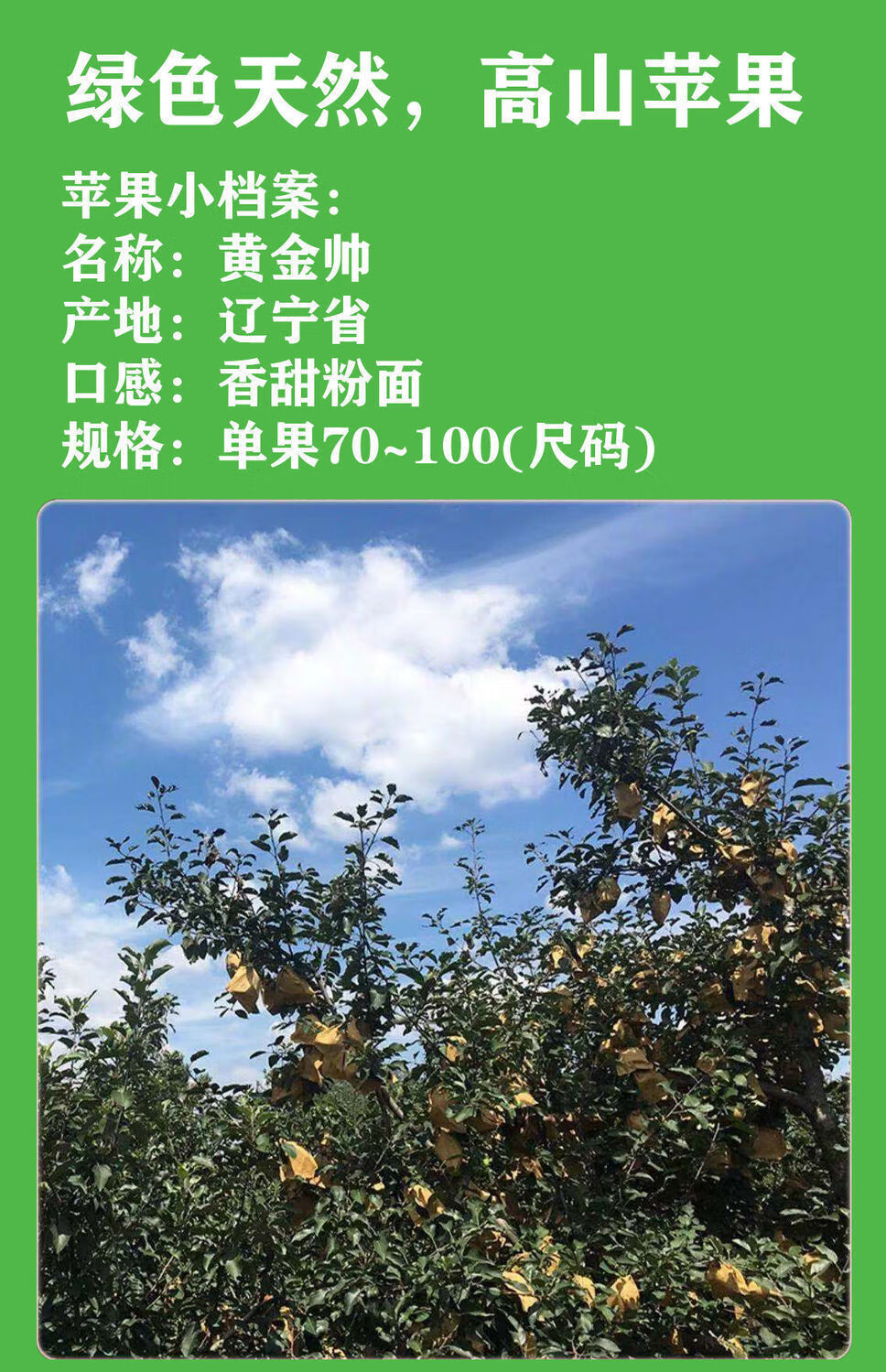 東北黃元帥黃金帥蘋果水果新鮮粉面刮泥103斤金帥黃香蕉奶油蘋果3斤