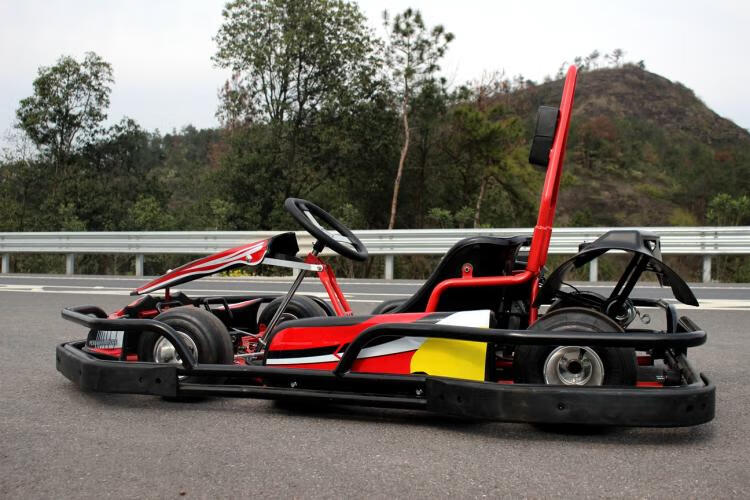 单双座场地汽油电动卡丁车f1款式赛车赛道沙滩越野竞技游乐场卡丁