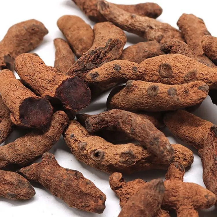 云南 血三七 盘龙七根 血三七头子500克血三七 精选血三七大号500g