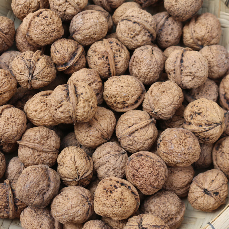 云南铁核桃老树硬山核桃手把 文玩 通货散称5斤密封袋 超硬壳5斤