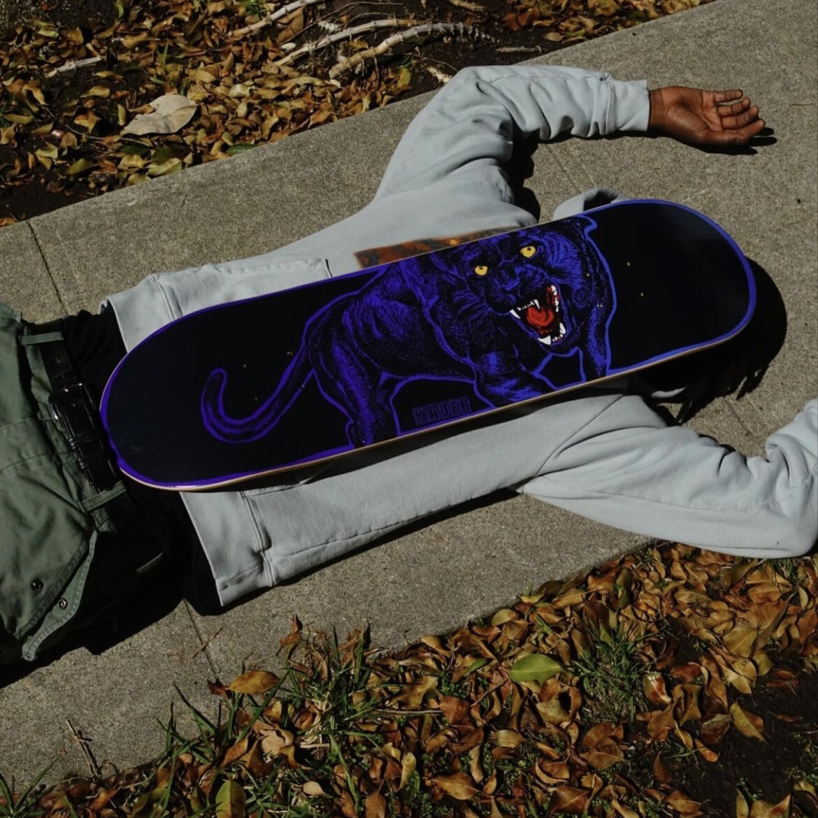 新款双翘滑板专业新款bakerdeathwishgirl美国专业双翘滑板板面808