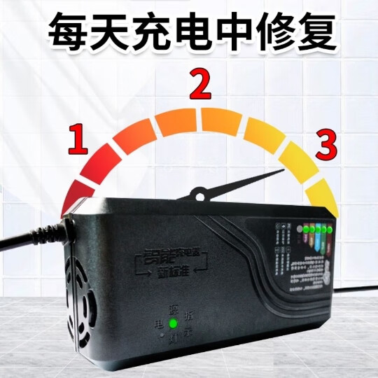 電動車充電器電瓶充電器修復器激活48v60v72v專用新接口通用 48v12ah