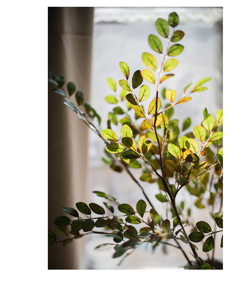 掬涵小叶紫檀枝禅意树枝茶道空间装饰新中式仿真植物树枝叶子紫檀叶