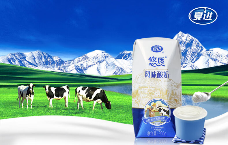 预售夏进悠质风味酸奶牛奶205g箱12盒装酸奶营养原味