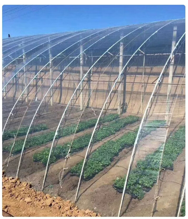 泊花水湾8s大棚膜无滴膜长寿消雾灌浆膜高透光保温蔬菜花卉种植流滴膜