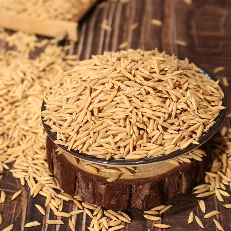 丝苗米稻谷2020年香米晚谷带壳稻子农家种植新鲜自碾米水稻谷1吨【图