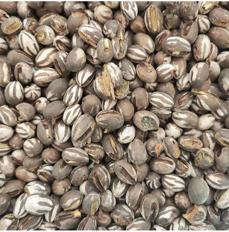 新品杨拉罐活洋辣子蛋蜜袋鼯零食20颗松鼠刺猬花枝仓鼠坦克虫80个小颗