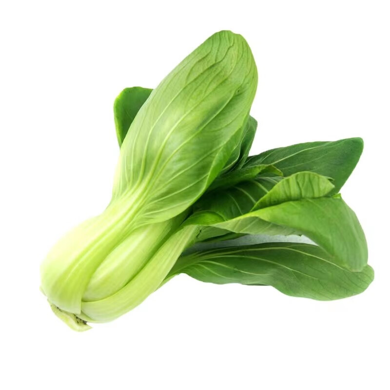 青梗菜种子早熟杂交小白菜种籽生长快耐湿耐热耐抽苔春秋季蔬菜籽
