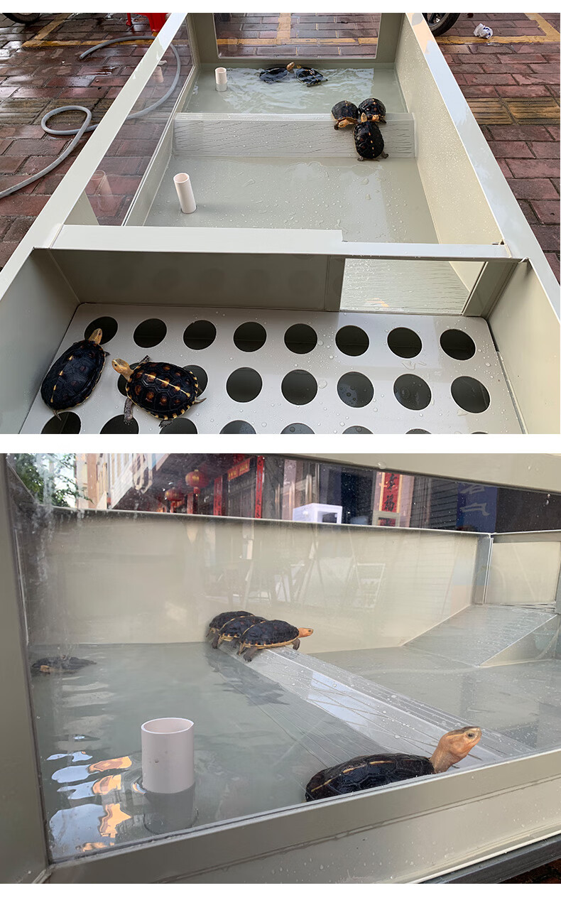 池陆龟半水乌龟缸带产蛋格 黑色龟箱100cmx200cm