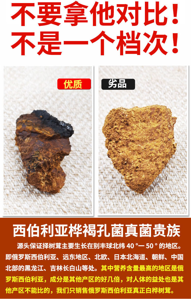 桦树茸500g俄罗斯桦褐孔菌桦树泪西伯利亚白桦茸1斤桦褐孔菌桦树桦树