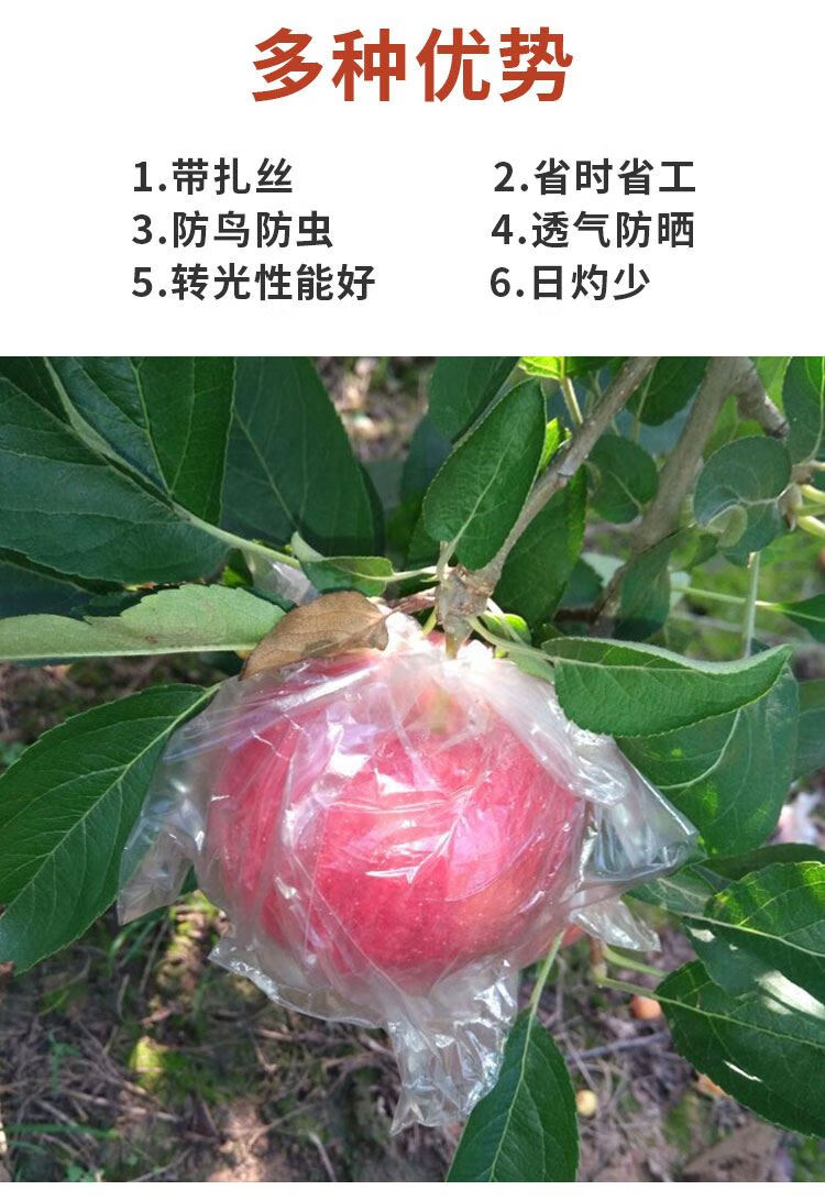 带扎丝苹果套袋塑料水果膜袋 专用套袋果袋梨桃防水防鸟防虫透气 17cm