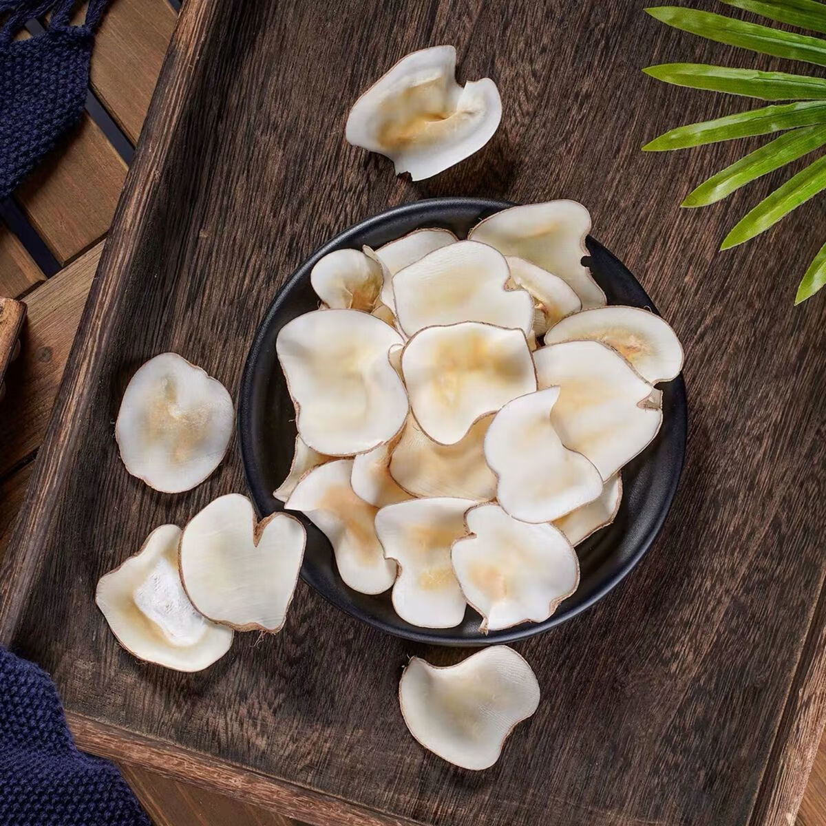 原色海底椰片雪梨干货海椰子奶香黄海椰皇椰肉煲汤材料汤料海底椰片