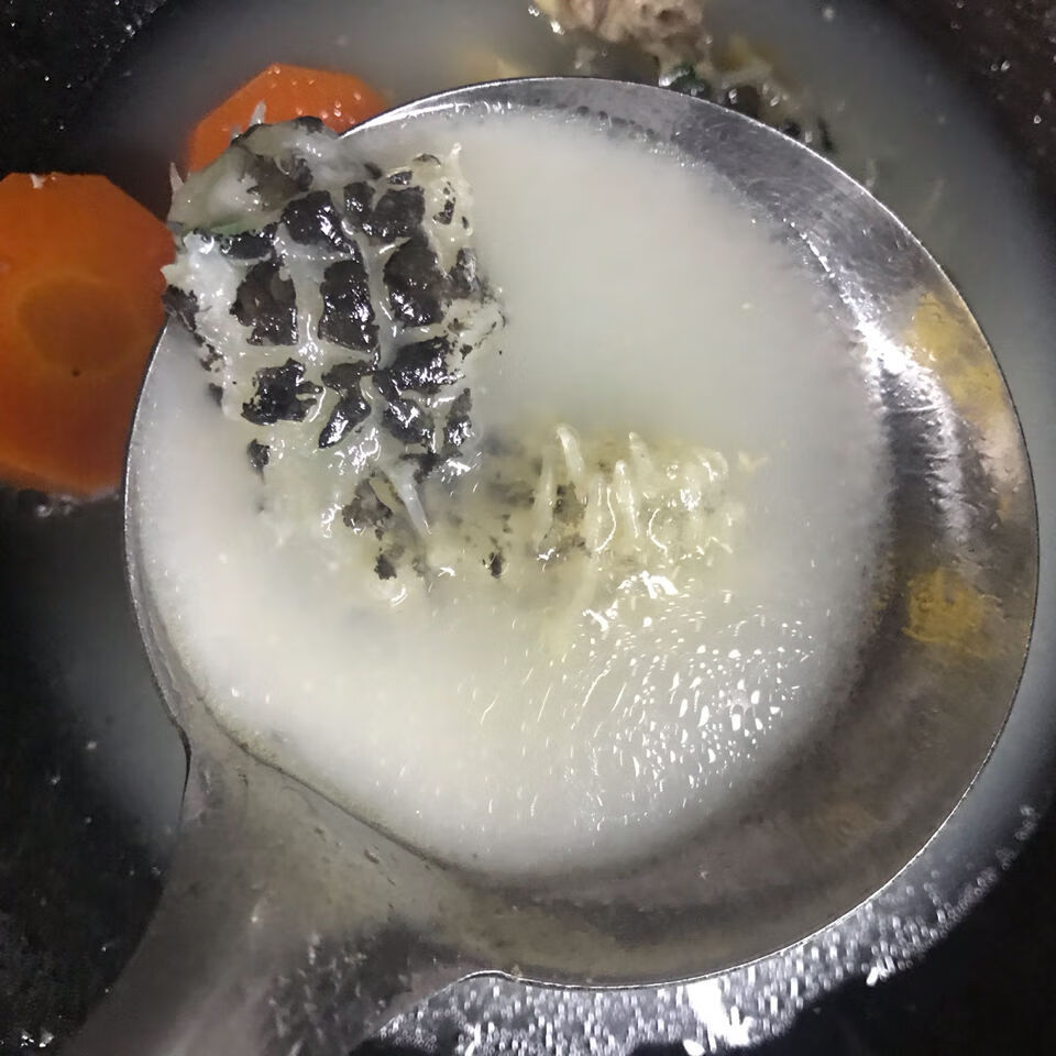 小号刺龟皮刺豚鱼皮北海特产干货250克补胶