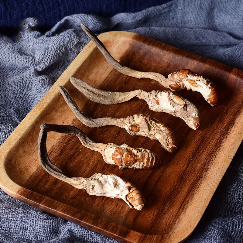 北京同仁堂 新货独角金蝉花 中药材 公蝉花 雄蝉花个大饱满 内廷上用