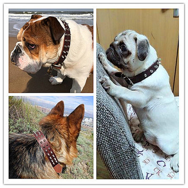 卡斯罗项圈杜宾犬项圈头层牛皮狗项圈大型犬铆钉脖圈狗链防跳蚤狗项圈