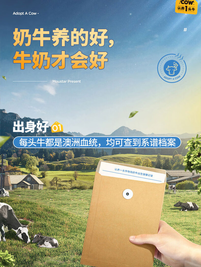 认养一头牛 常温风味酸奶 200g*12盒*2箱 图5