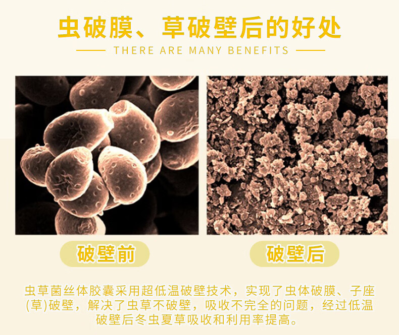 香港jd物流余仁生虫草菌丝体胶囊冬虫夏草增强呼吸系统加快病后康复提升免疫力延缓衰老虫草菌丝体胶囊 图片价格品牌报价 京东