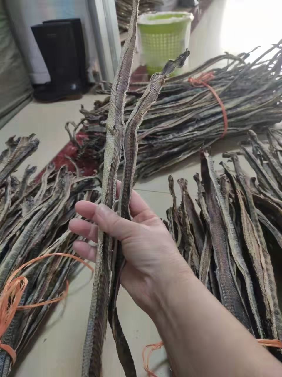 内廷上用 深海海蛇干货足干大号中和煲汤泡酒新鲜渔民自晒滋补营养