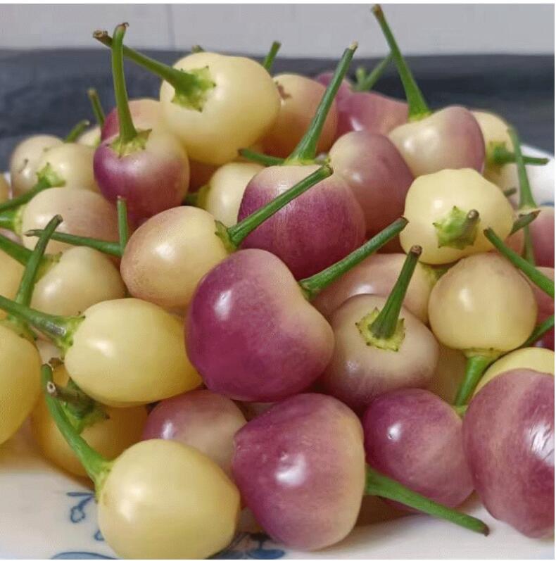 现货七彩椒新鲜广西现摘五彩辣椒做泡椒3斤