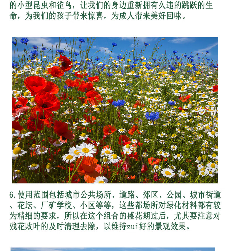 花先知野花组合种子波斯菊百日草格桑花组合种子花卉种子草籽花草种子花种野花组合种子 02款 10克 试种装 图片价格品牌报价 京东