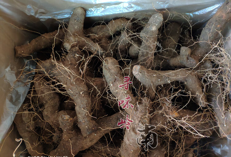 种芽火藤根火头根500g为一件 种植种芽500g 裸根不带土【图片 价格