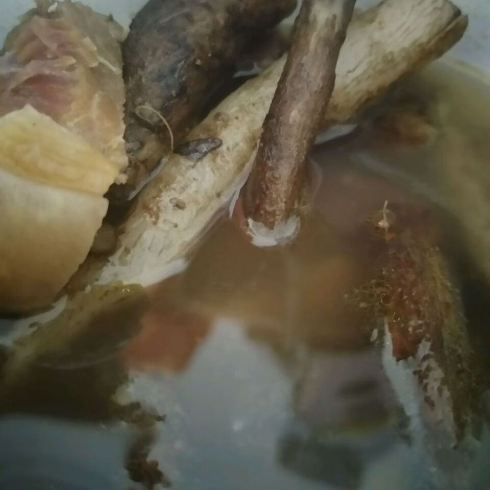 伟博贵州省纯野生大蓟根马刺根刺萝卜恶自生自长现挖现发全场 细长装