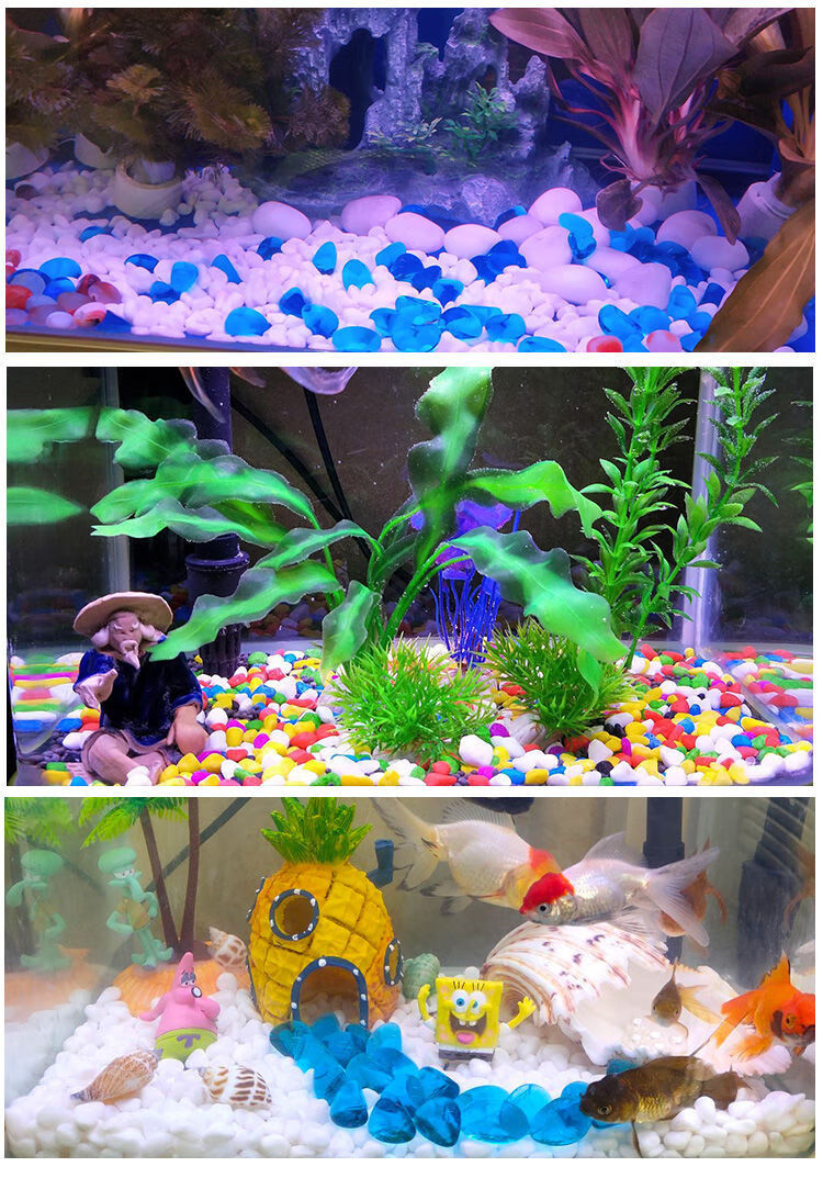 彩石子白石子彩色石头五彩石花盆栽多肉铺面石鱼缸造景装饰小石子