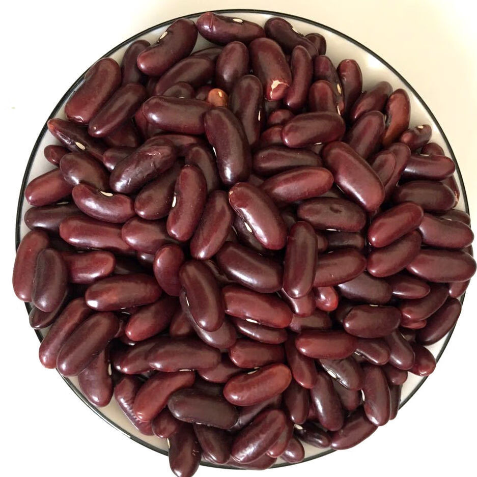 精选装紫芸豆红腰豆肾豆大芸豆五谷杂粮大红豆熬粥焖饭煲粥紫芸豆500g