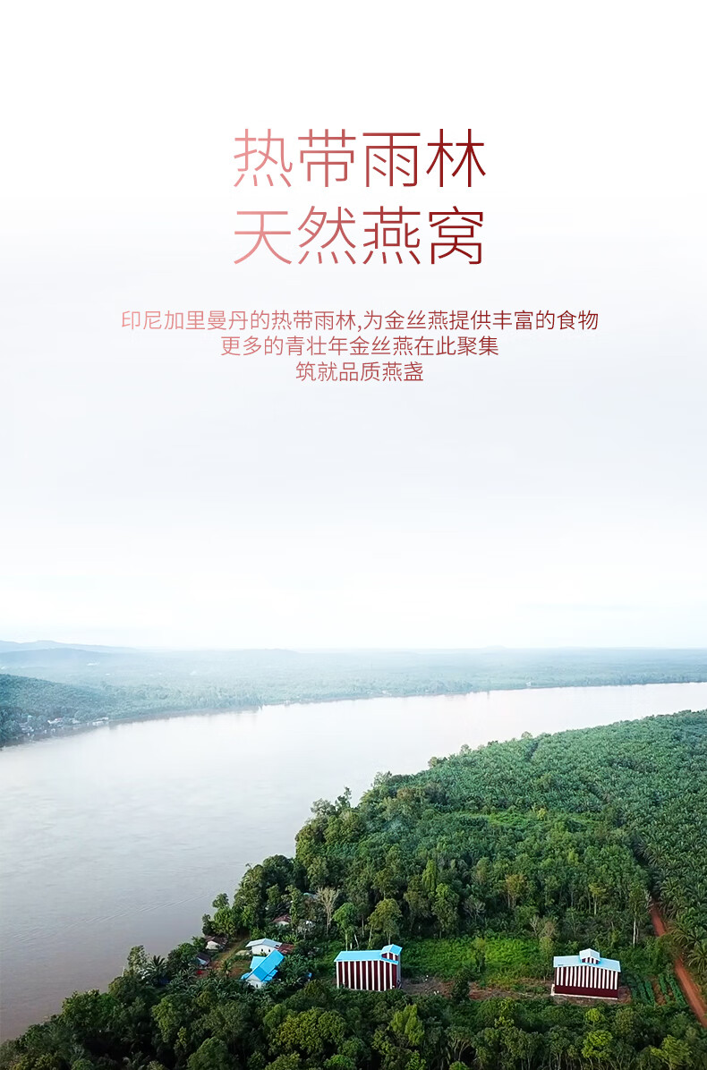 珑庭滋养鲜炖燕窝70g36瓶现炖冰糖浓缩燕窝孕妇滋补品季套餐
