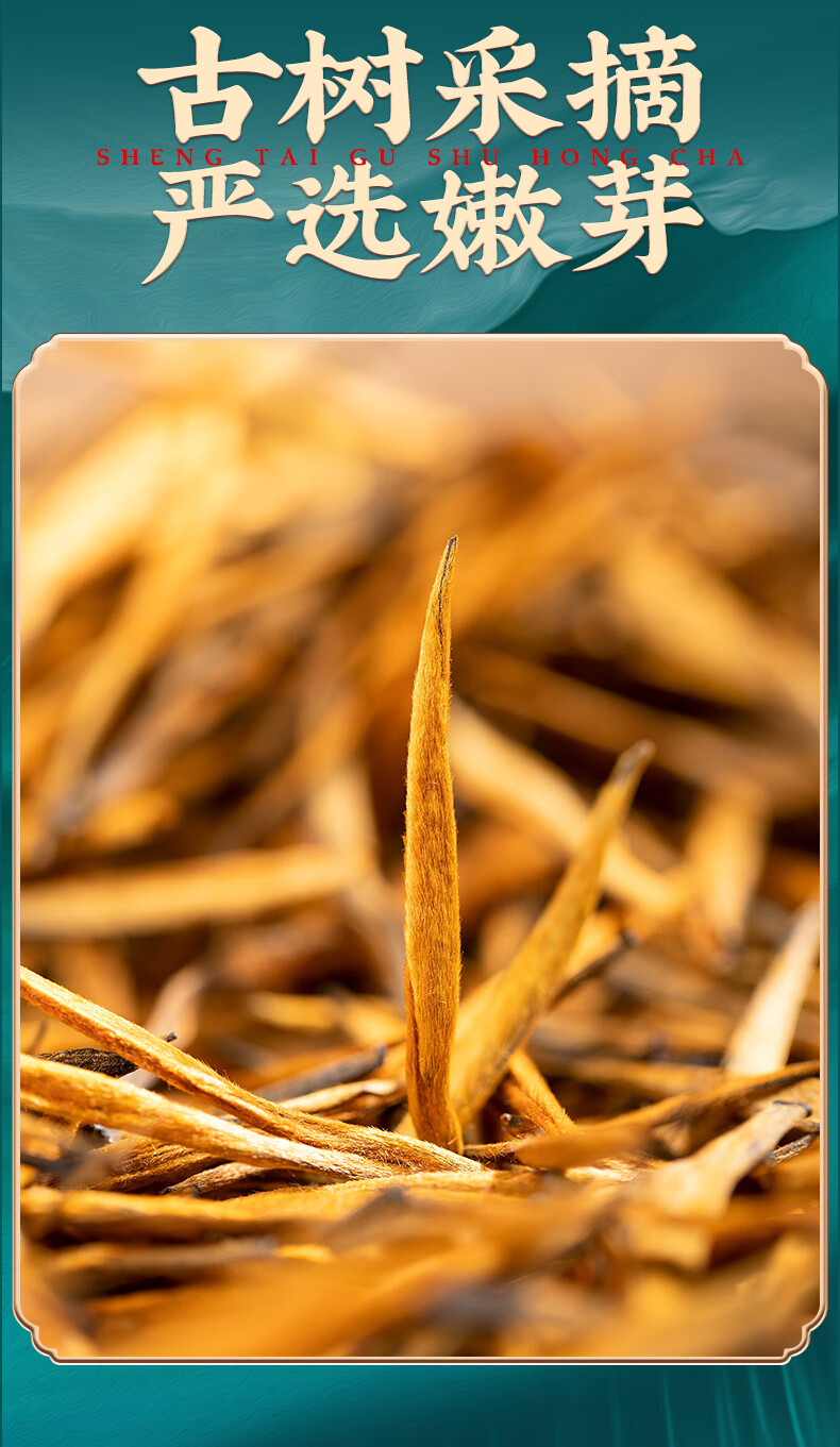 凤庆经典王氏雄风2021新茶凤庆古树滇红茶茶叶云南大金针金芽金枝浓香