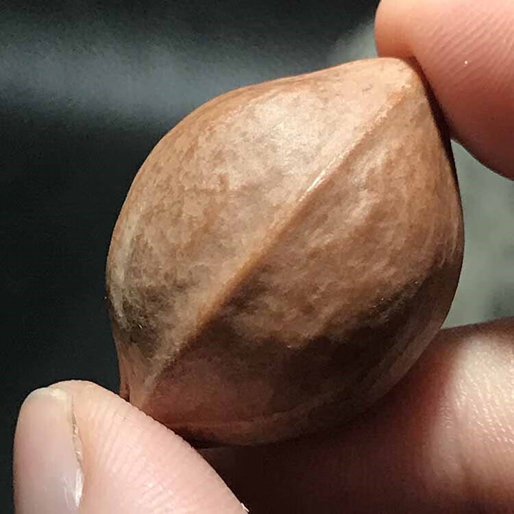 橄榄核原核 手串梅林铁头核鹰嘴鲨鱼背原皮原料手串原籽素珠手链 1.