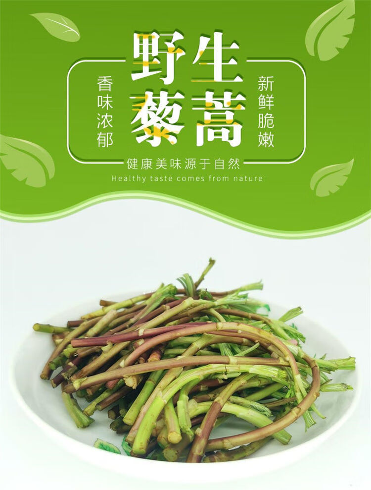 篱蒿当季芦蒿新鲜湖北现摘黎蒿蔬菜野菜藜蒿蓠泥黎去叶去老根 野藜蒿1