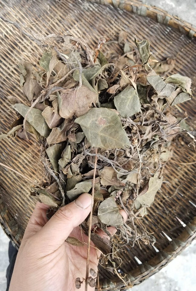 秦岭野生正宗紫背鹿含草天葵秋海棠散血子红叶马蹄鹿衔草500g干货250g