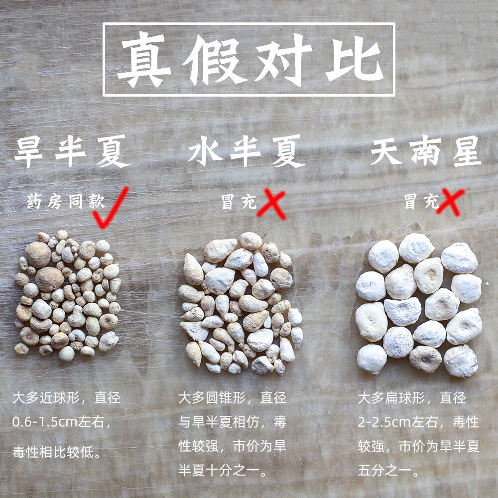 正宗法半夏野中药生炮制法旱半夏咳呕中药材足干货 法半夏【中号】