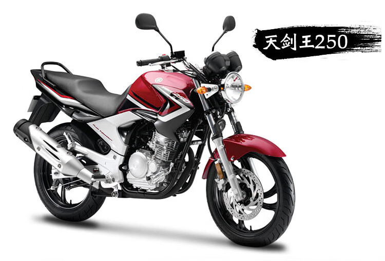 雅马哈天剑王ybr250飞致ys250链盘链条大小飞牙盘齿轮油封链套链单独