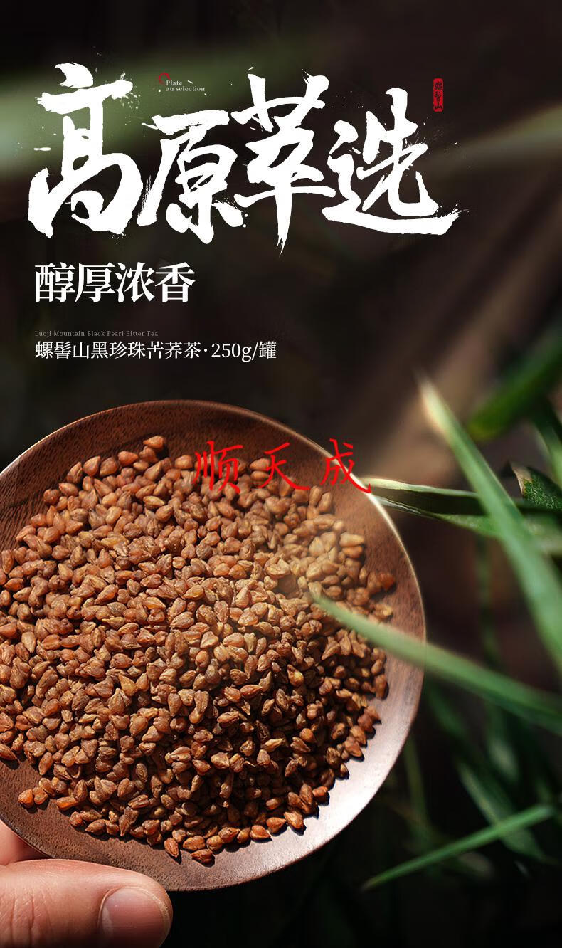 6罐装 黑苦荞茶大凉山 黑珍珠 浓香苦荞麦茶花茶大麦茶叶特产【图片