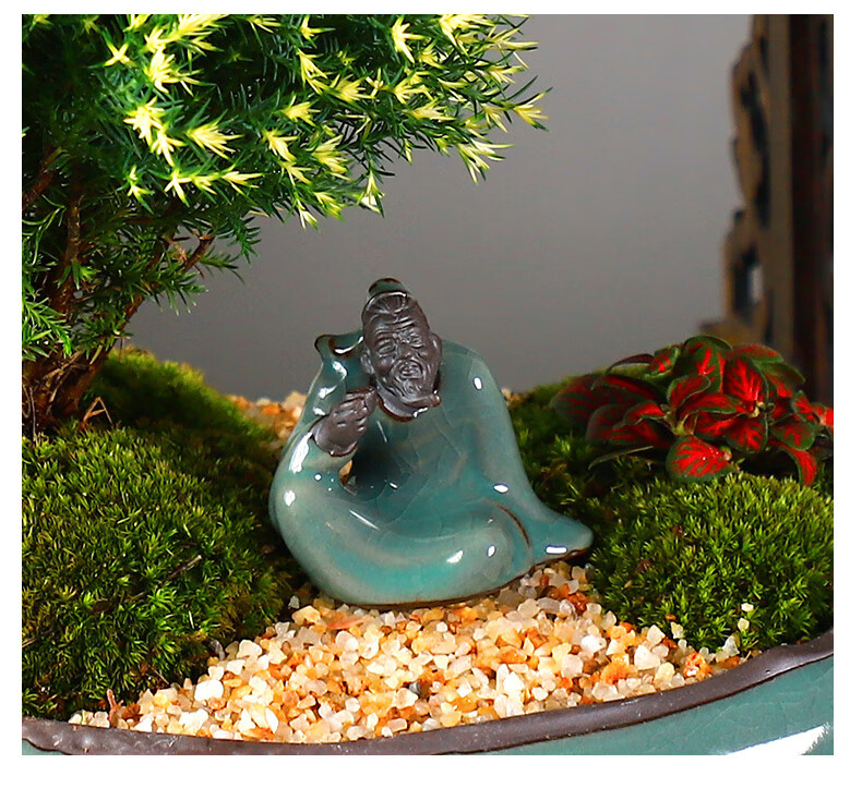 黄金雾松盆栽盆景植物室外室内绿植好养活办公室四季摆件松树造景