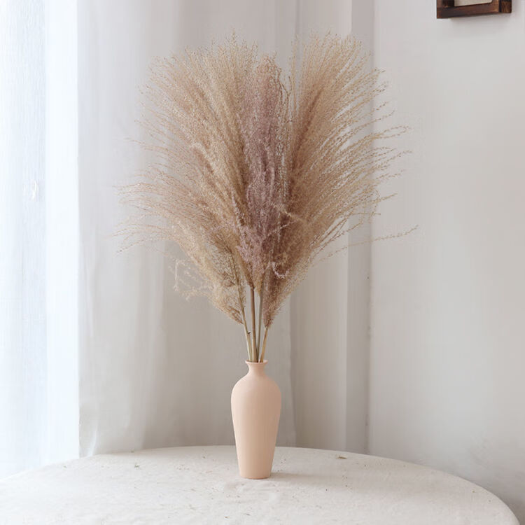 芦苇干花 麦穗干花花束 干花摆件装饰 客厅干花 原色芦苇花10支 不含