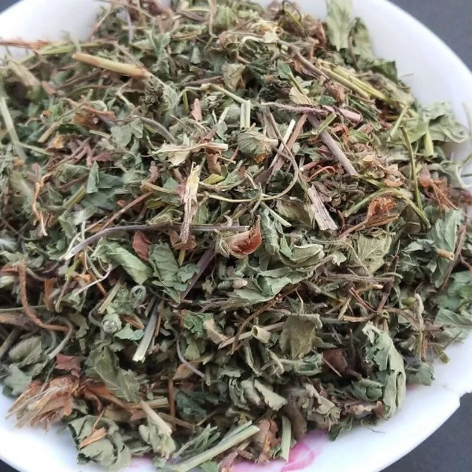 蛇莓草图片 药用图片