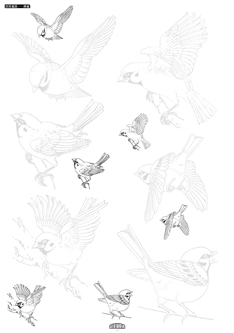 绘画 国画技法 中国画白描禽鸟动物入门套装 工笔画描摹本 勾线笔墨汁