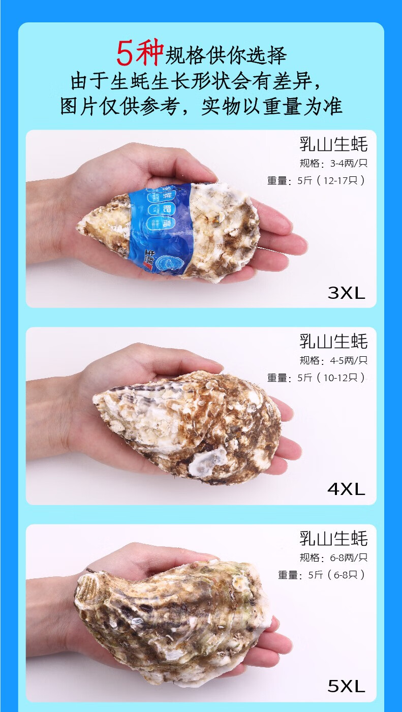 【活鲜】生蚝鲜活牡蛎大号贝类生鲜新鲜海蛎子海鲜带箱5斤 xxxl号