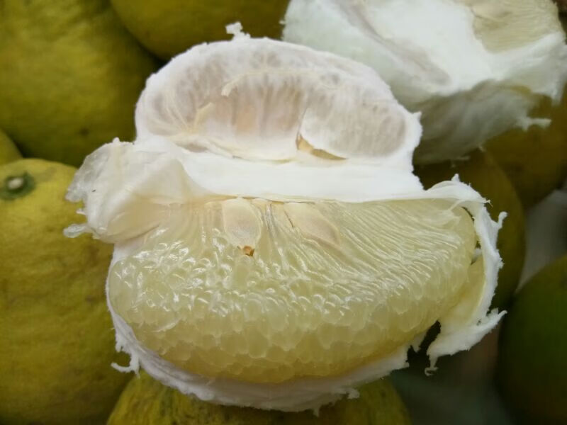 合江真龙柚四川合江正宗真龙柚农家柚子纯甜5斤2个