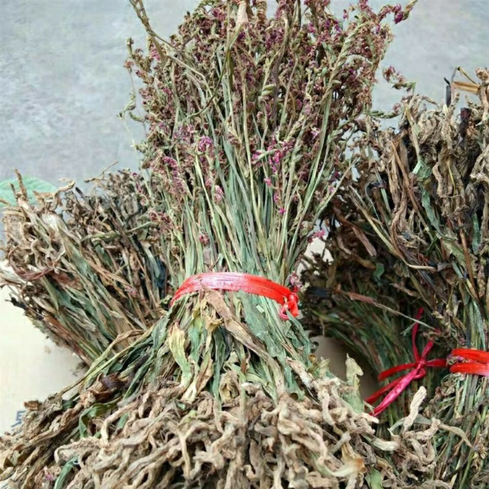 有仁堂贵州省盘龙参龙抱柱镰刀草海珠草 龙盘旋鲤鱼草飞龙 500克