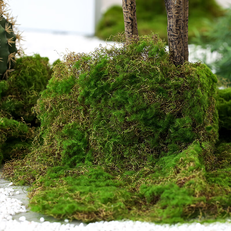 苔藓绿植青苔铺面景观装饰盆景配材植物搭配 仿真苔藓10块【图片 价格