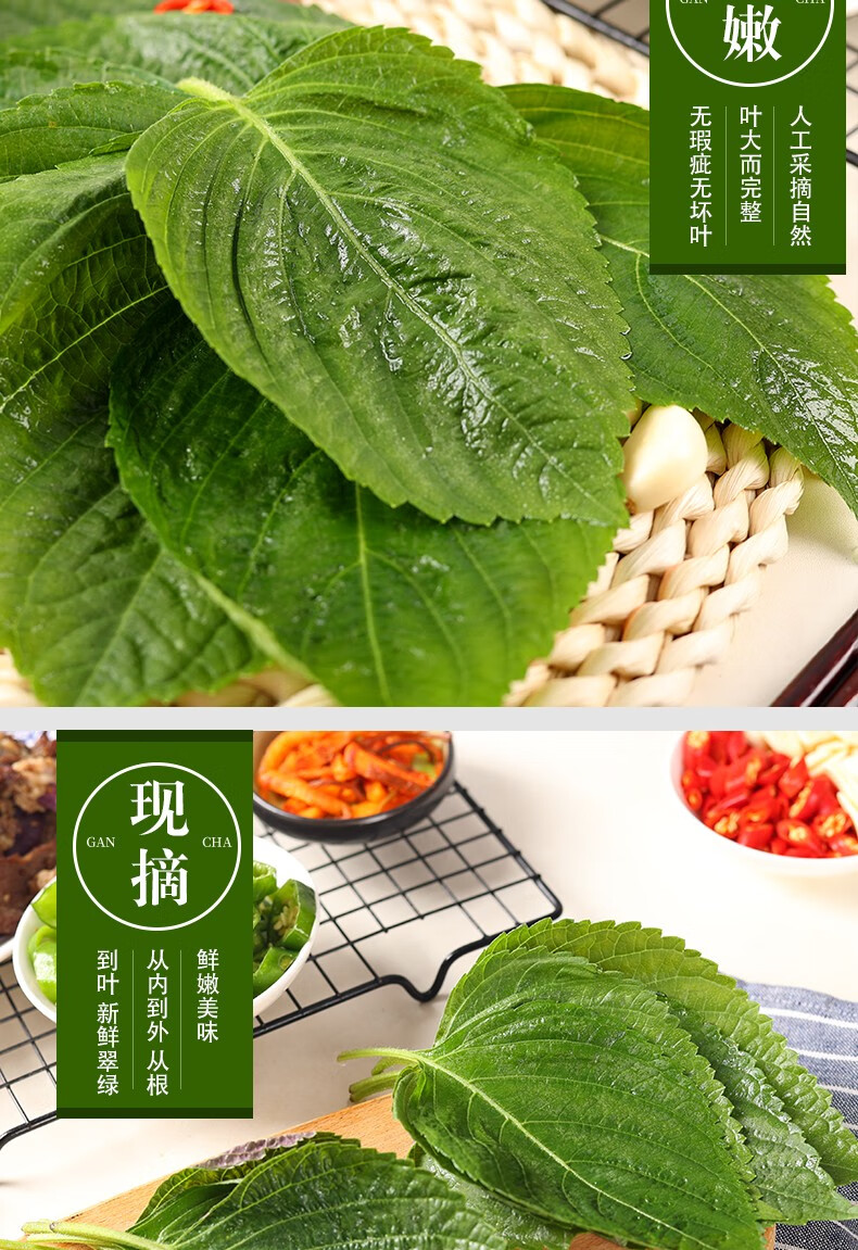 顺丰东北新鲜苏子叶韩国烤肉紫苏叶包肉包饭蘸酱菜1000g