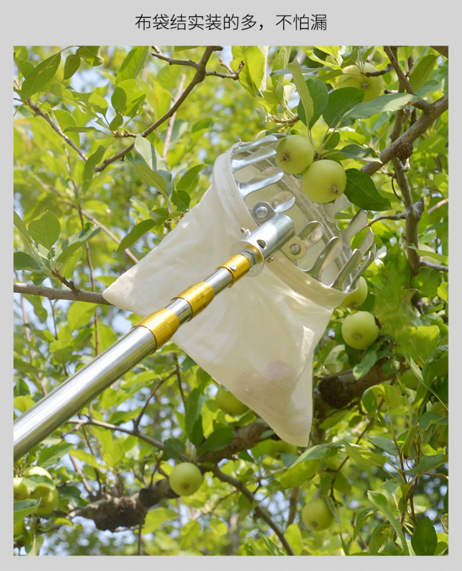 摘柿子的神器摘果器摘水果摘果伸缩杆果子采摘工具高空摘枣梨苹果柿子