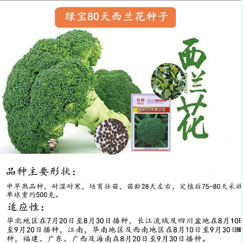 一播大地西兰花种子西蓝花蔬菜种子松花80花菜种子有机花菜青花菜庭院种植易种绿宝80天西兰花种子原装2g 图片价格品牌报价 京东